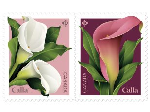 Canada Post welcomes spring with calla stamp issue