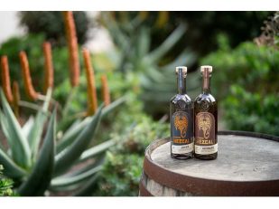 CUTWATER SPIRITS WINS BIG AT IWSC 2022 INCLUDING OUTSTANDING MEDALS FOR MEZCALS