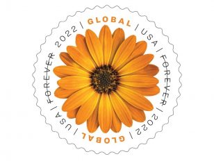 Postal Service Issues African Daisy Global Forever Stamp