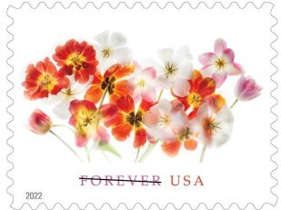 New Postal Service Tulips Forever Stamp Brightens Any Occasion