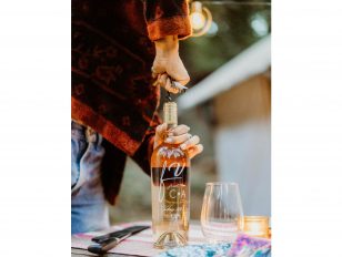 Fresh Vine Wine Introduces New Vintage of Its Highly Popular "Better For You" Rosé Wine