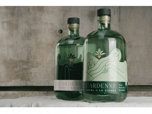 Meet Cardenxe - A Newly Launched Artisanal Sotol Brand at the Intersection of Music and Art