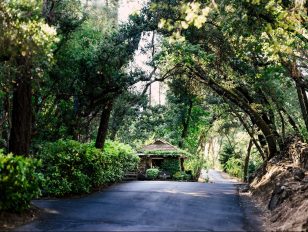 Meadowood Napa Valley receives Forbes Five-Star Awards for both Hotel and Spa