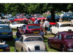 Jaguars ready to pounce on Beaulieu for Simply Jaguar - Sunday 26th June