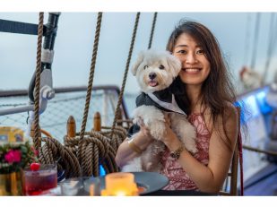 DOG CRUISE EXTRAORDINAIRE - WITH CANINE COMPANIONS