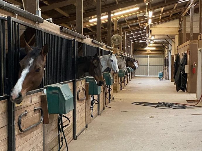 Record Demand for Atlanta Therapeutic Horsemanship Drives Chastain Horse Park $9 Million Expansion