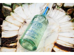 Código 1530 to Release First Estate Harvest Still Strength Blanco Tequila