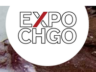 Expo Chicago