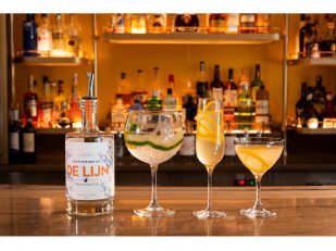 Holland America Line Introduces Exclusive 'De Lijn' Gin in Honor of 150th Anniversary