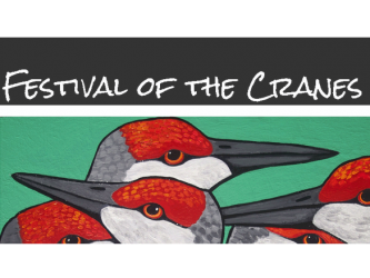 Festival of the Cranes