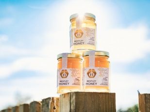 Bentley Flying Bees reach new milestone at Crewe’s Excellence Centre for Honey Production