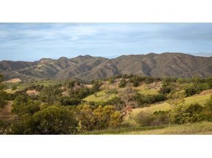 Halter Ranch Temecula to Celebrate Grand Opening