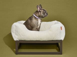 FÜZI PETS Introduces Elevated Modular Pet Beds that Meet Your High Style Standards