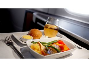 Artemis Aerospace discusses what to eat at 30,000 feet