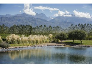 Terrazas de los Andes Achieves Regenerative Organic Certified® Status