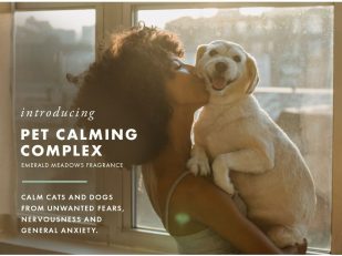 ScentAir® Releases New Pet Calming Fragrance