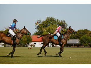 Ponies, mallets and a place for the helicopter