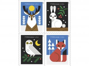 Deer. And Rabbits. And Owls. And Foxes. Oh My!