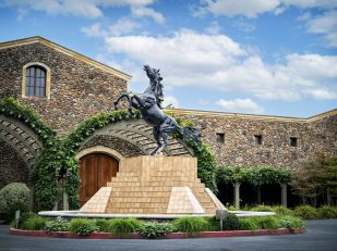 Black Stallion Estate Winery Named "American Winery of the Year" by Wine Enthusiast