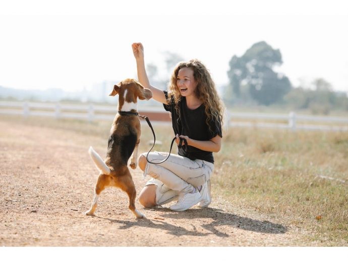 Training Techniques Complementing the Device that Makes Dogs Stop Barking