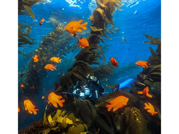 GoPro and PADI Link Up on New Specialty Certification Program for Scuba Divers