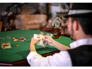 Navigating the Digital Casino Landscape: iSoftGamble's White Label Approach