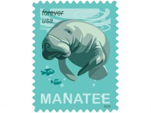 Postal Service Hopes Stamp Will Help Save Manatees