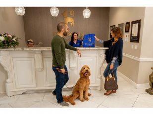 From Luxury Resorts to Luxury Pet Resorts: Global Hospitality Leaders Invest $10M in K9 Resorts