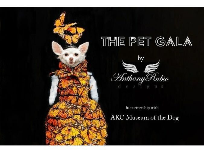 Pet Fashion Designer Anthony Rubio To Host First "Pet Gala" At The AKC Museum Of The Dog!