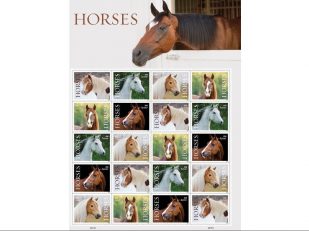 Horses Gallop Into Limelight With New Postage Stamps To Debut at Pony Express Re-Ride