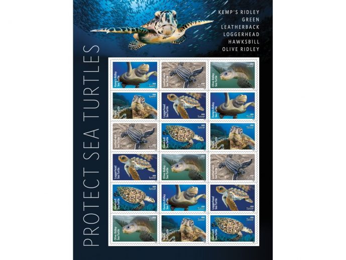 Sea Turtles Ride A Wave Onto New Stamps