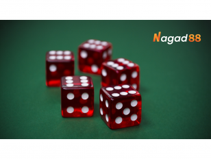 Nagad88 – A Trusted Site in Online Gaming World