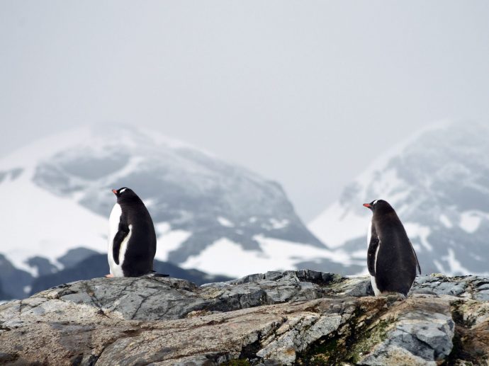 Exploring Antarctica in Style: Luxury Travel Guide