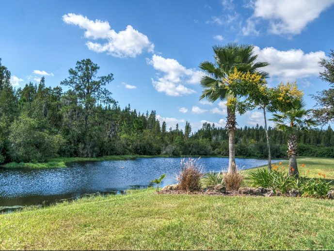 How to Prepare Your Trees for Florida’s Hurricane Season