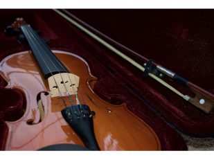 10 Common Issues and Solutions for Violin Repair