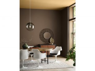 Sherwin-Williams Announces its First Ever Color Capsule of the Year for 2025