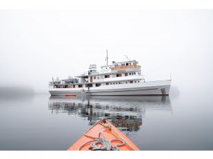 The Boat Company Announces Exciting New 11-Day Cruise from Sitka to Ketchikan Starting Spring 2025