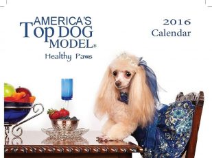 Prep Your Pooches! Strike a Paws! America's Top Dog Model ® Announces a "Casting Call" for 2016