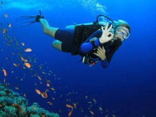 Learn to Scuba Dive with New Underwater Experience at Grand Velas Riviera Maya