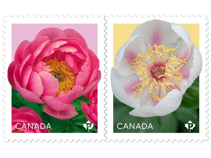 This year's annual Flower stamp issue features original photos of peonies in bloom