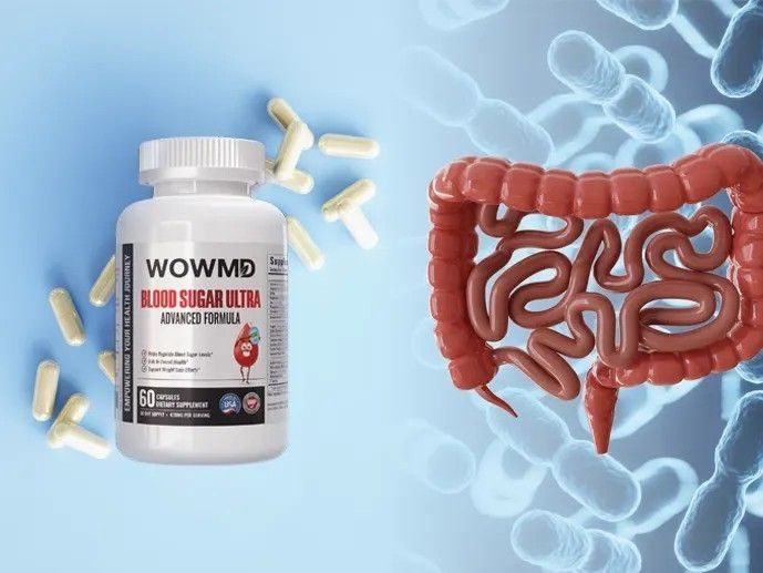 How WOWMD Blood Sugar Ultra Helps with Carb Digestion & Sugar Metabolism