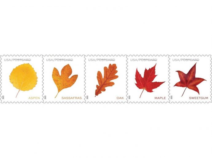 Vibrant Leaves Fall Onto Postcard Stamps