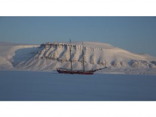 Chasing the Midnight Sun: 9 Best Things to Do in Svalbard, Norway