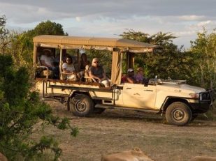 Mahali Mzuri's Three Simple Steps to Enjoy Kenya's Great Migration