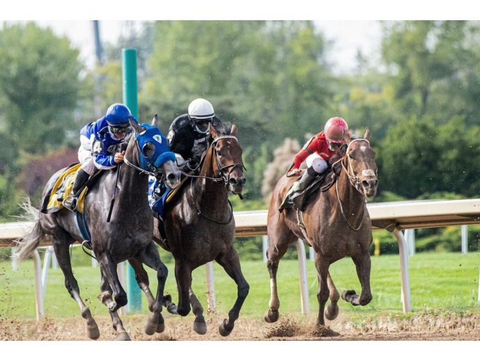 Like a VIP: High-Stakes Betting at the Preakness Stakes 2025