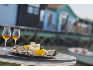 A Taste of the Charentes: Discover the Region’s Flavours with Explore Cognac