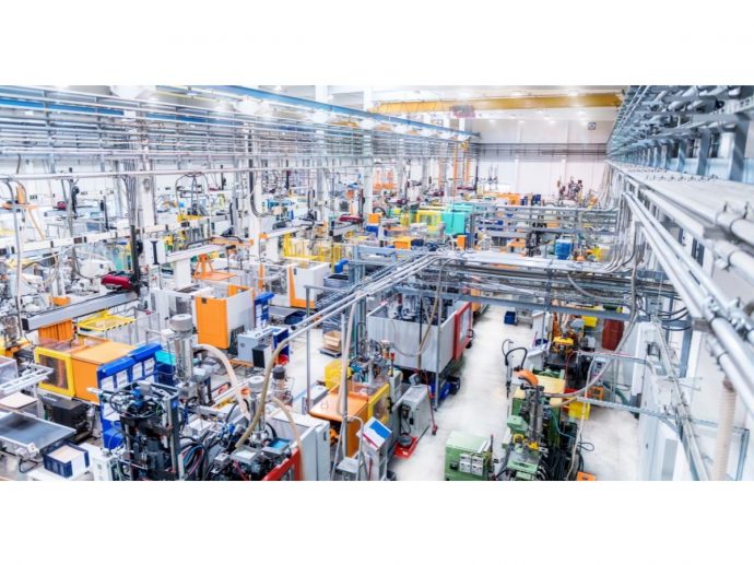 Pest Control in Confectionery Facilities: Ensuring Food Safety and Compliance