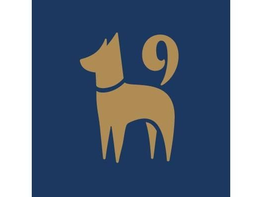 K9 Resorts Unleashes First-Ever Summer Camp, Promotes Physical, Mental + Social Stimulation for Dogs