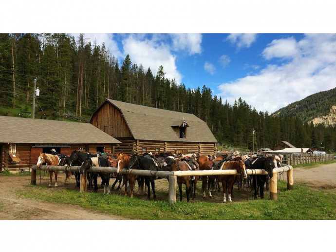 TVR Ohio - Choosing the Right Ranch for Your Horse's Home