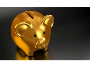 How Market Trends Influence Shiba Inu Coin Price Movements